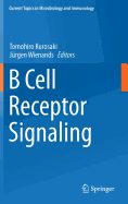 B Cell Receptor Signaling