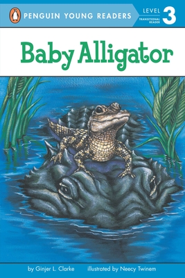 Baby Alligator - Clarke, Ginjer L