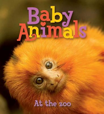Baby Animals at the Zoo - Kingfisher Books