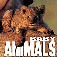 Baby Animals: Cubebook