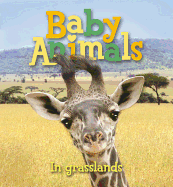 Baby Animals in Grasslands