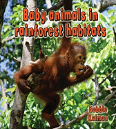 Baby Animals in Rainforest Habitats