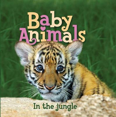Baby Animals in the Jungle - Kingfisher Books