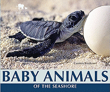 Baby Animals of the Seashore