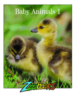 Baby Animals - Wexo, John