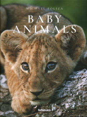 Baby Animals - Poliza, Michael