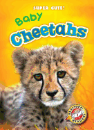Baby Cheetahs