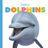 Baby Dolphins