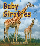 Baby Giraffes