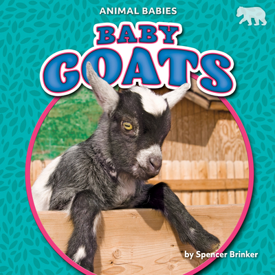 Baby Goats - Brinker, Spencer