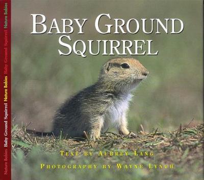 Baby Ground Squirrel - Lang, Aubrey, and Lynch, Wayne, Dr. (Photographer)