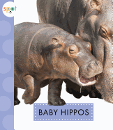 Baby Hippos