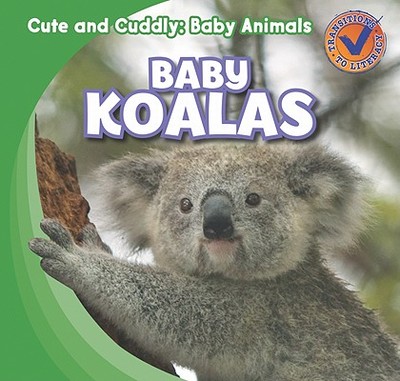 Baby Koalas - Kawa, Katie