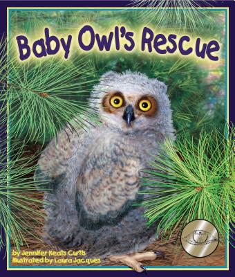 Baby Owl's Rescue - Curtis, Jennifer Keats