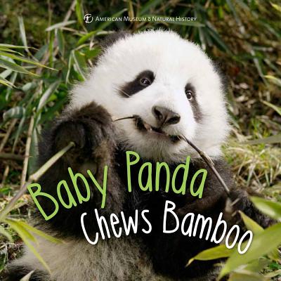 Baby Panda Chews Bamboo - Richmond, Ben