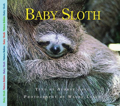 Baby Sloth - Lang, Aubrey, and Lynch, Wayne, Dr. (Photographer)