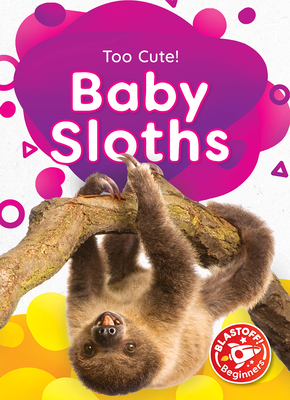 Baby Sloths - Barnes, Rachael