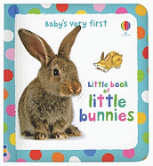 Baby's Very First Little Book of Bunnies
