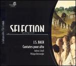 Bach: Cantatas for Solo Alto