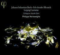 Bach: Ich elender Mensch - Leipzig Cantatas - Damien Guillon (alto); Dorothee Mields (soprano); Peter Kooij (bass); Thomas Hobbs (tenor); Collegium Vocale (choir, chorus);...