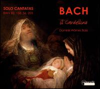 Bach: Solo Cantatas - Dominik Wrner (bass); Il Gardellino; Ryo Terakado (conductor)