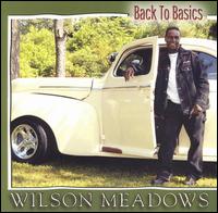 Back to Basics - Wilson Meadows