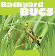 Backyard Bugs