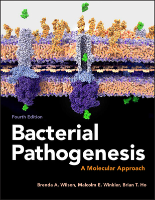Bacterial Pathogenesis: A Molecular Approach - Wilson, Brenda A, and Winkler, Malcolm, and Ho, Brian T