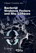 Bacterial Virulence Factors and Rho GTPases