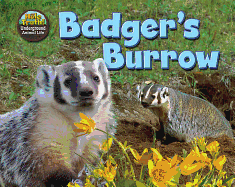 Badger's Burrow