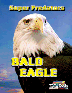 Bald Eagle: (Age 5 - 8)