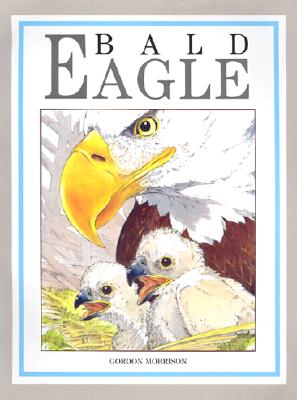 Bald Eagle - 