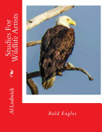 Bald Eagles: Studies for Wildlife Artists