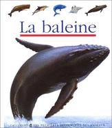 Baleine