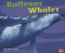 Ballenas/Whales