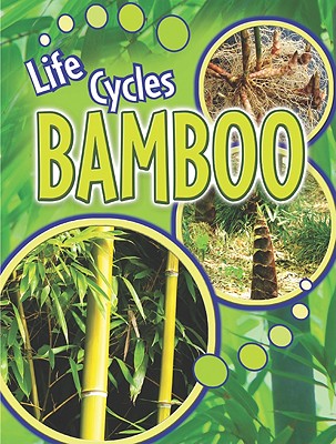 Bamboo - Lundgren, Julie K