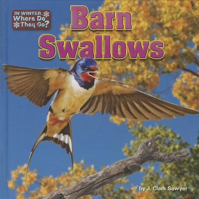 Barn Swallows - Sawyer, J Clark