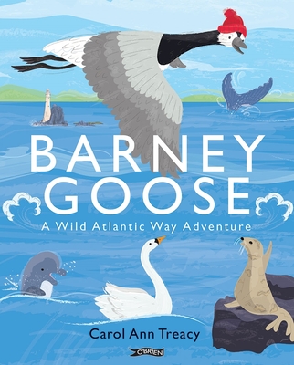 Barney Goose: A Wild Atlantic Way Adventure - 