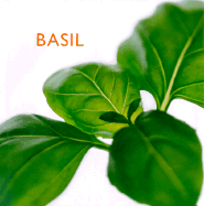 Basil - Southwater