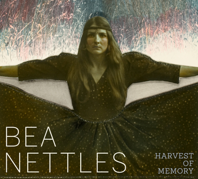 Bea Nettles: Harvest of Memory - Allen, Jamie M (Editor), and Lahs-Gonzales, Olivia (Editor)