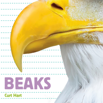 Beaks - Hart, Curt (Photographer)