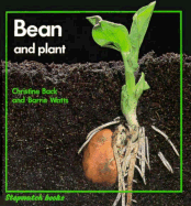Bean and Plant