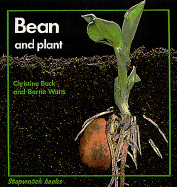Bean and Plant
