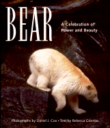 Bear: A Celebration of Power and Beauty - Cox, Daniel J (Photographer), and Grambo, Rebecca L (Text by)