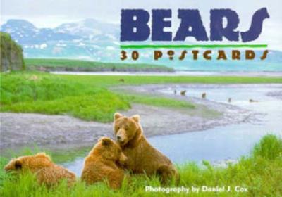 Bears: 30 Postcards - Abbeville Gifts