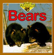 Bears