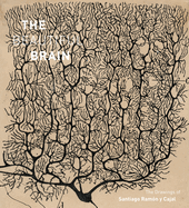Beautiful Brain: The Drawings of Santiago Ramon Y Cajal