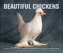 Beautiful Chickens