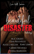 Beautiful Disaster Anthology