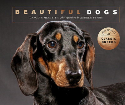 Beautiful Dogs: Portraits of Champion Breeds - Menteith, Carolyn